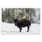 Stupell Industries Bison on Snowy Track Wall Plaque By PIDDIX